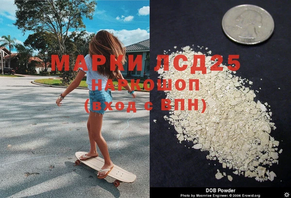 стафф Медвежьегорск