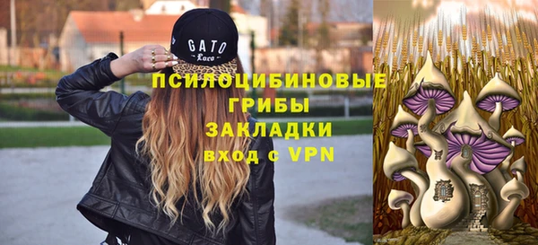 кокс Мегион