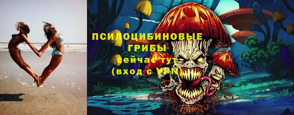 альфа пвп Медногорск