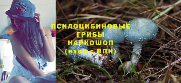 стафф Медвежьегорск