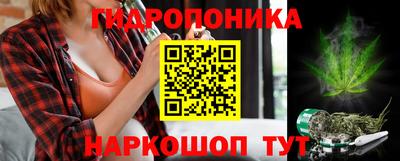 a pvp Усть-Илимск