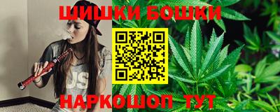 индика Усть-Джегута