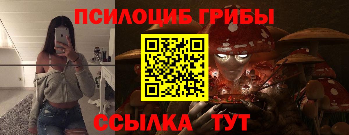 где купить наркоту  Псилоцибиновые грибы Cubensis  Вход с VPN  Лесозаводск 